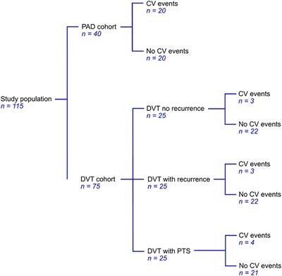 Searching for a Common Thrombo-Inflammatory Basis in Patients With Deep Vein Thrombosis or Peripheral Artery Disease